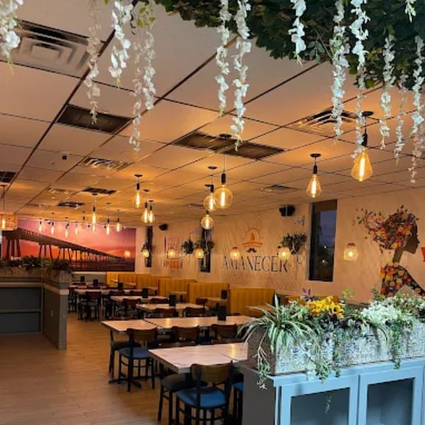 Amanecer Cocina y Cafe's dining room with tables, yellow booths, and decorative hanging plants.