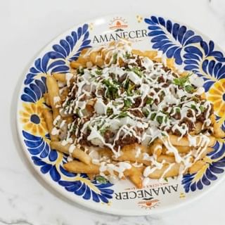BIRRIA FRIES